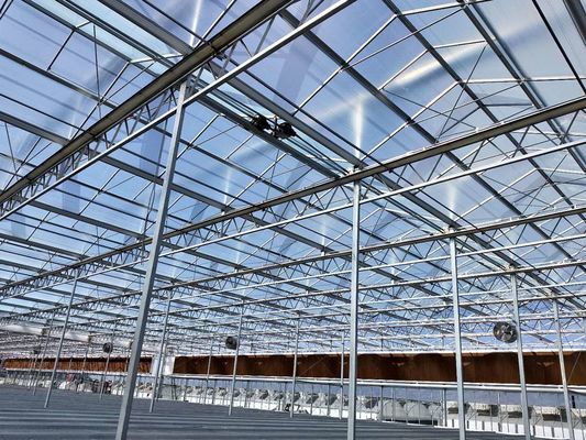 Galvanized Steel Skeleton Glass Greenhouse With Photovoltaic Panel
