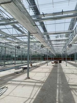 টেকসই এবং ইউভি সুরক্ষা সহ আধুনিক আয়তক্ষেত্রাকার গ্লাস গ্রিনহাউস